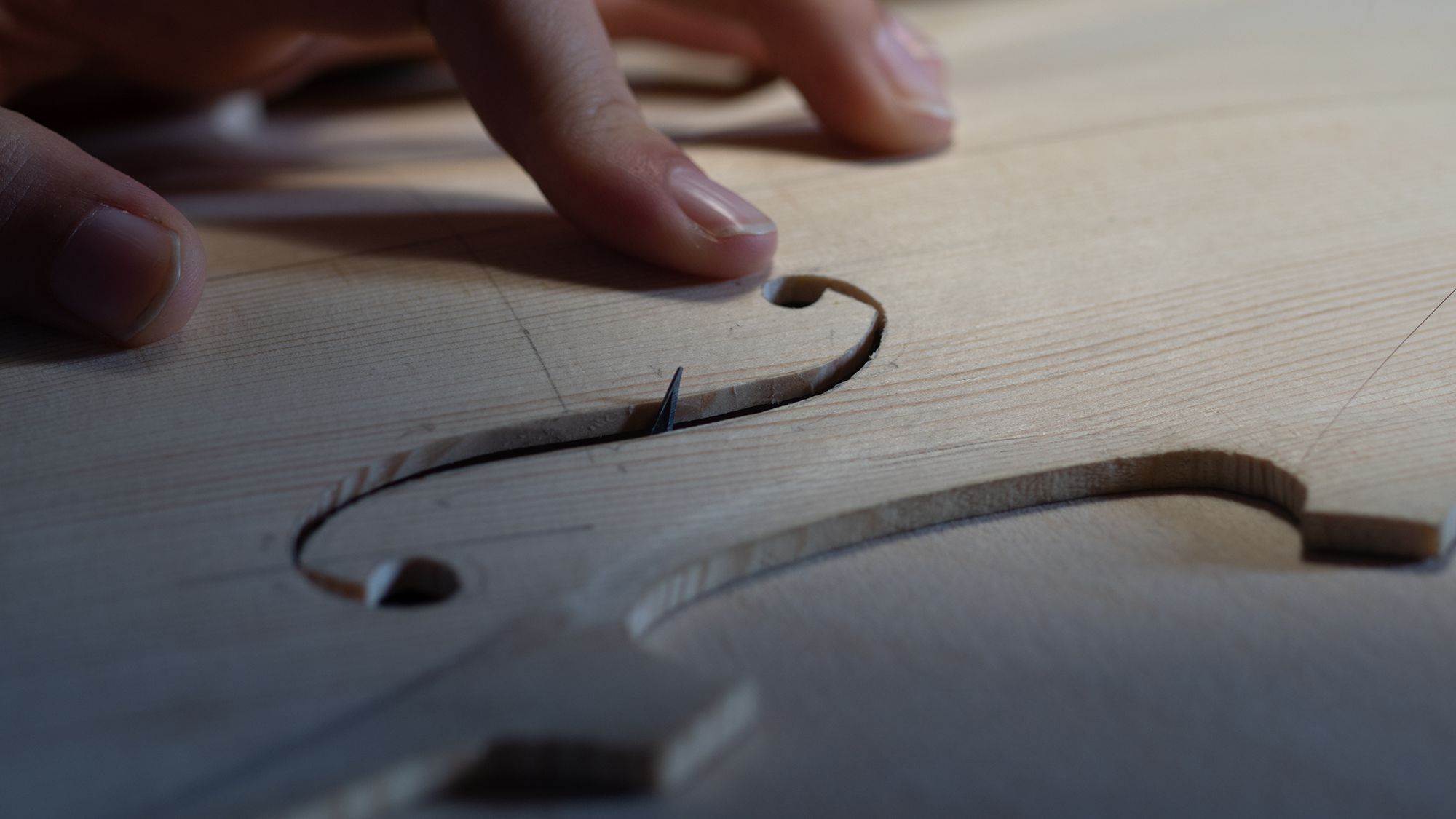 hejiang 5 key principles design shape